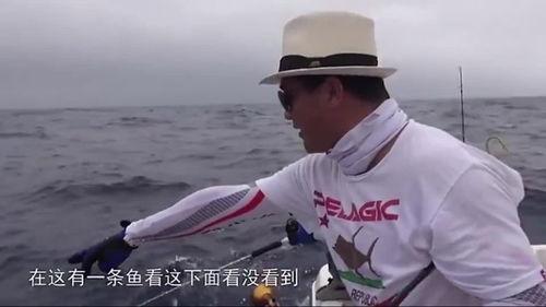 大钓哥 在线观看,在线观看，揭秘钓鱼高手传奇人生