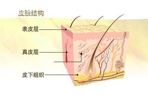 纤维皮肤爆料怎么做的视频,跟随视频轻松掌握技巧