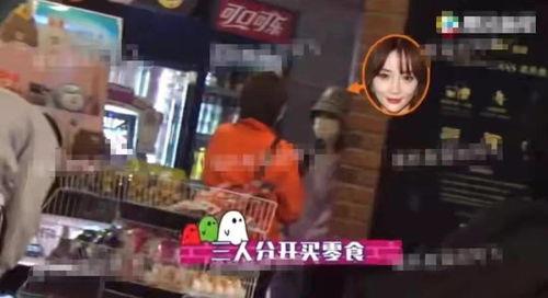 天涯社区爆料李小璐视频,李小璐视频事件引发热议