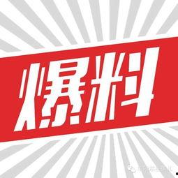湛江遂溪头条最新爆料,揭秘重大事件真相！