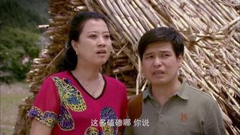 豆腐西施杨七巧在线观看,一段传奇人生，在线重温经典