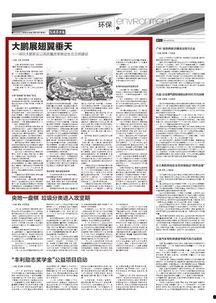 新登新闻爆料,揭秘背后惊人真相！