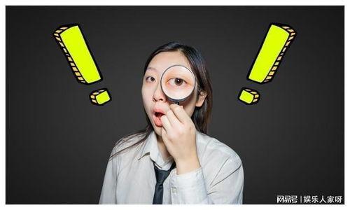 娱乐圈的瓜爆料怎么看待,揭秘明星背后的故事与真相