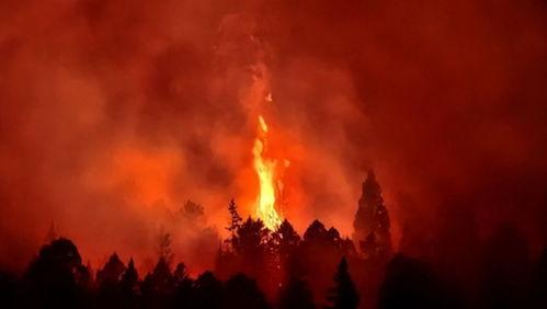 夏威夷大火网友爆料视频,网友爆料视频曝光惨烈景象