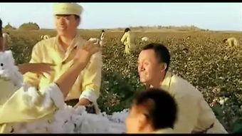 在线观看化剑,在线观看化剑，剑道与人生的交织之旅