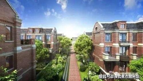 青年艾最新爆料解析,深度解析背后真相