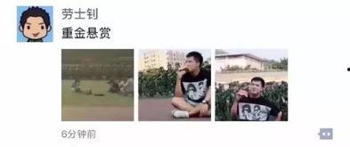 吃瓜群众免费素材视频,揭秘吃瓜群众免费素材视频背后的故事