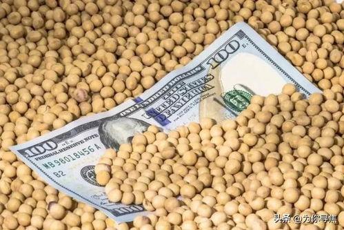 美国大豆最新爆料,揭秘行业变革与未来趋势
