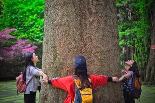 刘二妮徒步爆料视频全集,全程揭秘徒步旅行中的点点滴滴