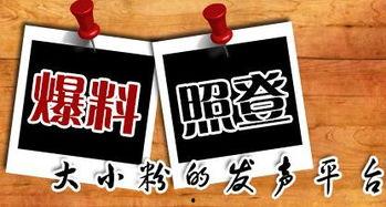 最新的爆料新闻,最新爆料新闻背后的惊人真相