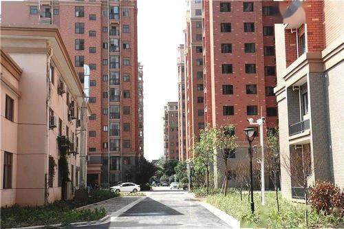 岱山银河湾小区最新爆料,揭秘神秘项目与周边发展动态