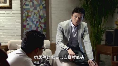 爸的爱情生活在线观看,穿越时光的浪漫之旅