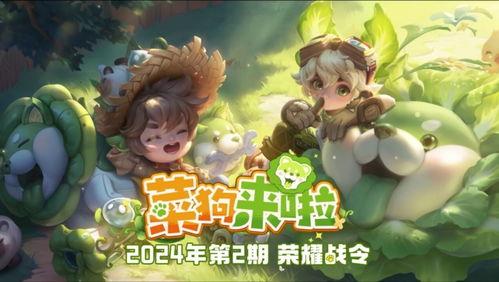 狗熊皮肤爆料视频大全集,揭秘游戏内神秘皮肤背后的故事