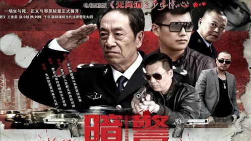 电视剧暗警在线观看,揭秘潜伏于黑暗中的正义之光