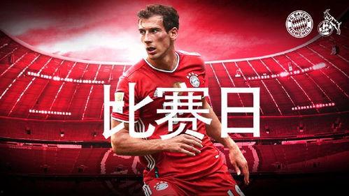 今日爆料者联盟情报,联盟情报揭秘，独家内幕大曝光！