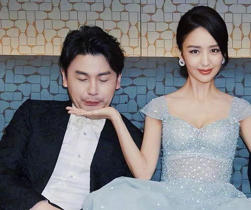 雷佳音佟丽娅最新爆料,揭秘幕后故事与情感纠葛