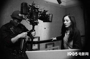 电影我是证人在线观看,见证真相，守护正义的生死较量