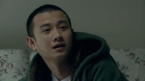 电视剧窝居在线观看,揭秘都市生活背后的温馨故事