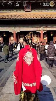 故宫最新爆料视频大全集,最新爆料视频大全集深度解析