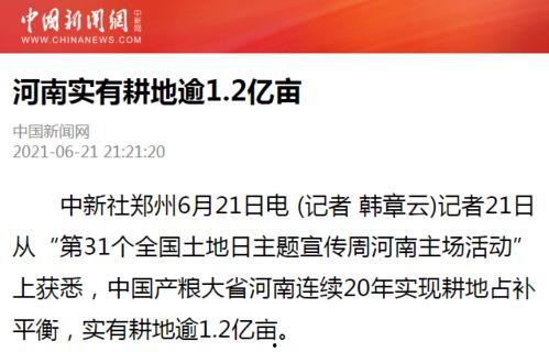 河南新闻媒体爆料,重大事件引发社会关注