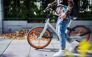 石家庄单车爆料最新消息,最新动态揭示城市共享单车发展新趋势