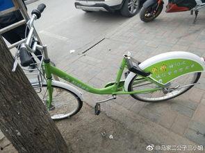 石家庄单车爆料最新消息,最新动态揭示城市共享单车发展新趋势