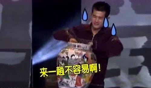 贵族小伙爆料视频大全集,揭秘豪门背后的真实故事