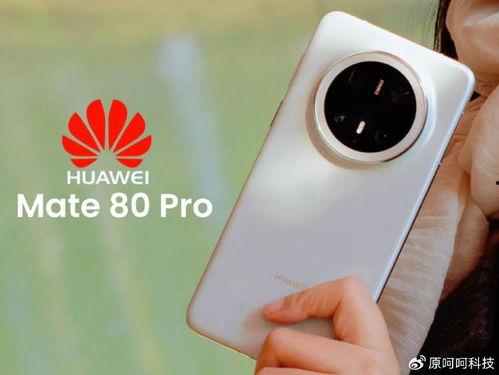 mate80最新爆料