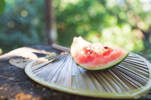 吃瓜网免费吃瓜黑入口,畅享海量瓜子的秘密通道