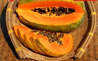 吃瓜网免费吃瓜黑入口,畅享海量瓜子的秘密通道