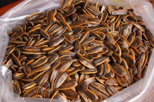 焦糖瓜子爆料怎么做视频,视频制作攻略，轻松上手短视频创作