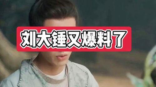 娱乐圈刘大锤爆料,揭秘明星背后的惊人真相