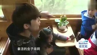 西瓜特效娱乐圈爆料,明星幕后故事大揭秘