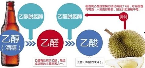 厦门酒瓜最新事件爆料,最新爆料揭示惊人内幕