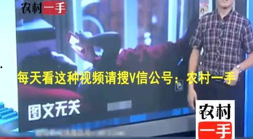 《通宵在线观看