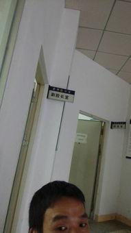 惠州新闻爆料电话号码,热线电话助力城市安全守护