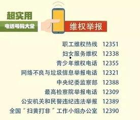 惠州新闻爆料电话号码,热线电话助力城市安全守护