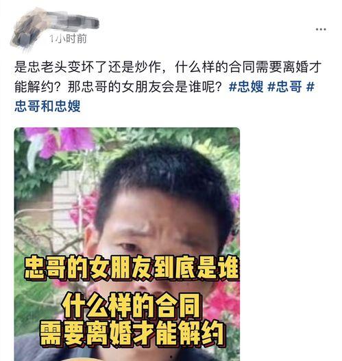 爆料忠哥离婚视频播放,播放量惊人揭秘背后真相