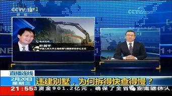 鹿泉最新爆料新闻头条,揭秘重大事件背后真相