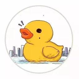 超萌小黄鸭爆料视频,揭秘萌宠背后的趣味故事