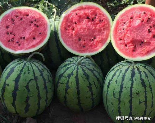 在线吃瓜免费阅读,在线阅读平台的独特魅力