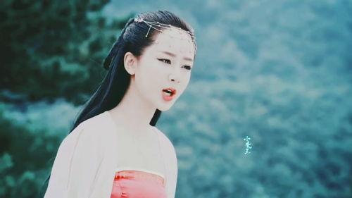 沈梦溪爆料杨紫视频大全,视频大全大放送