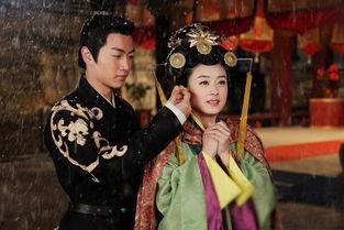 陆贞电视剧全集在线观看,宫廷斗争与爱情纠葛的传奇人生