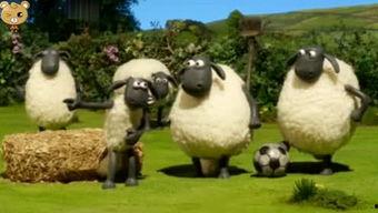 娱乐圈爆料小羊,小羊新恋情曝光，神秘男友身份引热议