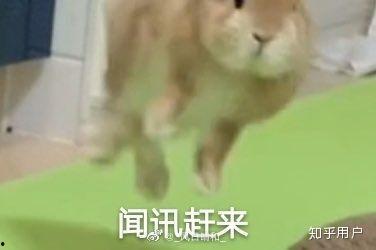 娱乐圈爆料小羊,小羊新恋情曝光，神秘男友身份引热议