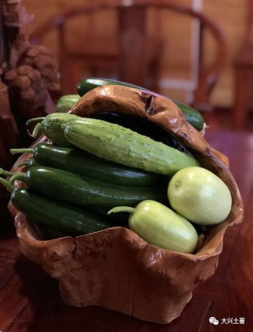 网红富贵闲人吃瓜