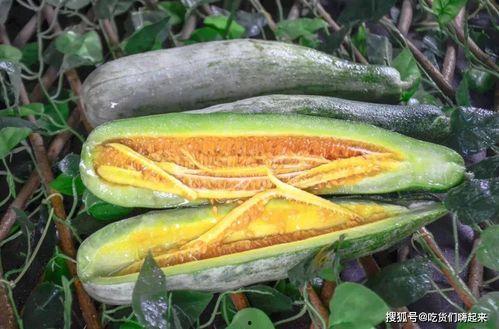 网红富贵闲人吃瓜