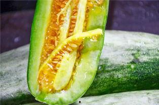 网红富贵闲人吃瓜