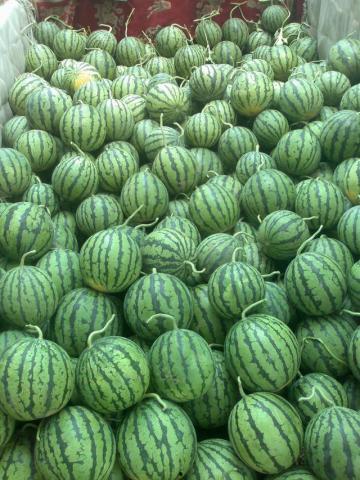 砀山最新吃瓜爆料,揭秘当地热点事件背后的真相