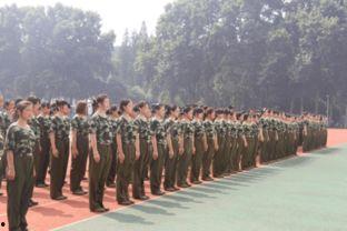 最新军训爆料新闻稿件